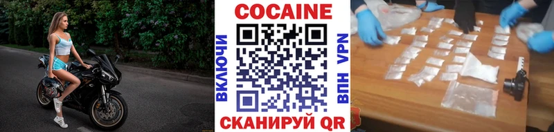 Кокаин Fish Scale  блэк спрут вход  shop какой сайт  Узловая 