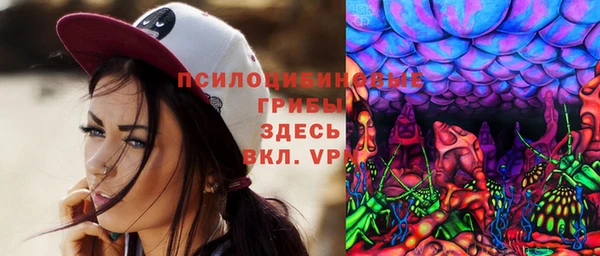 apvp Армянск