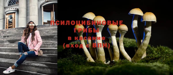 apvp Армянск